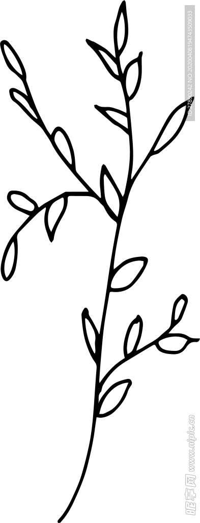 花纹