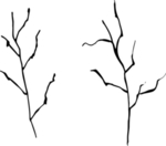 花纹