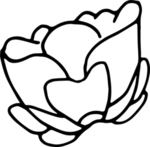 花纹