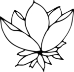 花纹