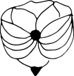 花纹