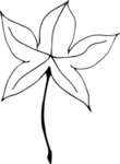 花纹