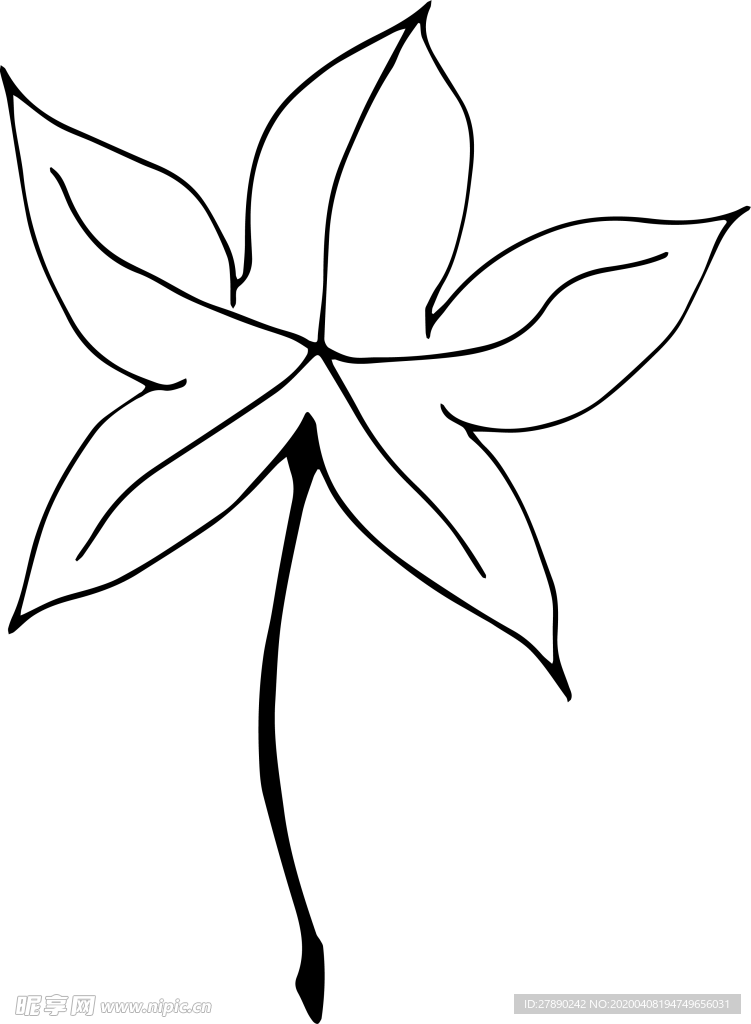 花纹