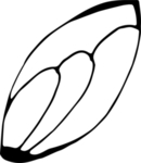 花纹