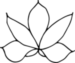 花纹