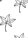 花纹