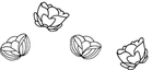 花纹