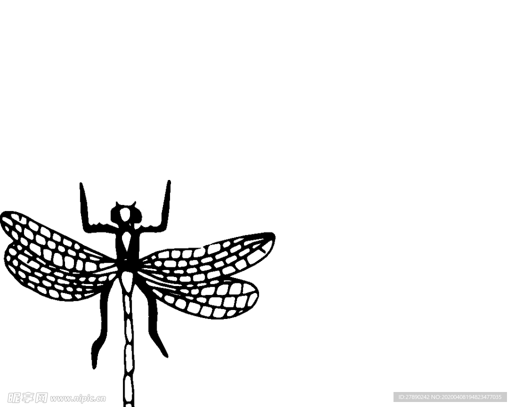 花纹