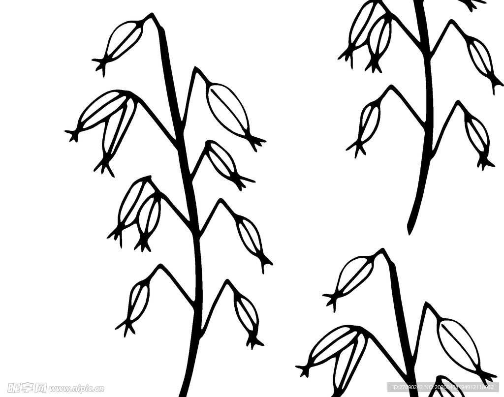 花纹