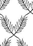 花纹