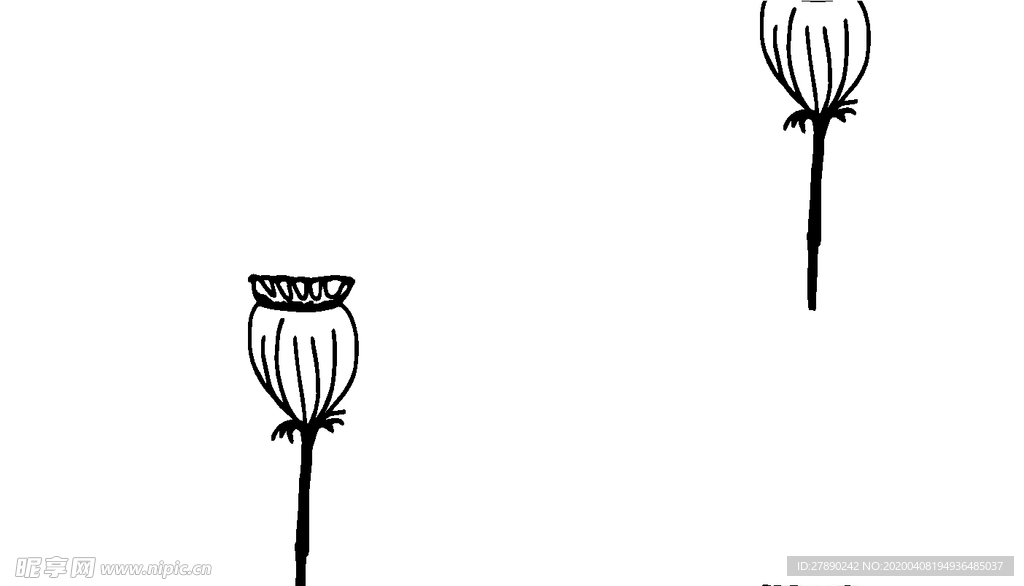 花纹