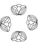 花纹