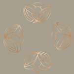 花纹