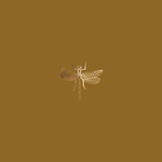 花纹