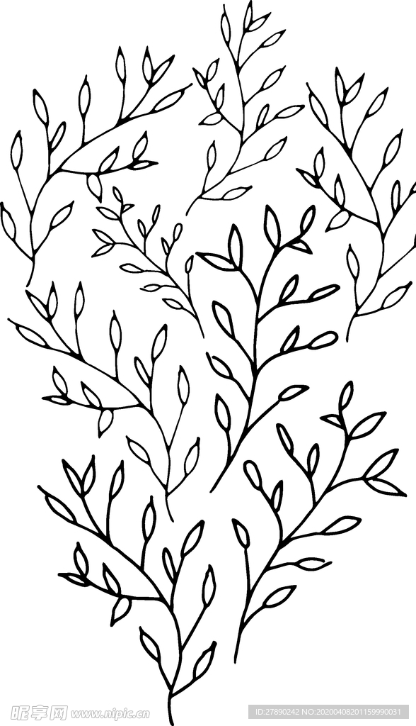 花纹
