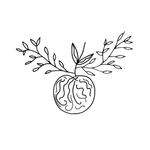 花纹