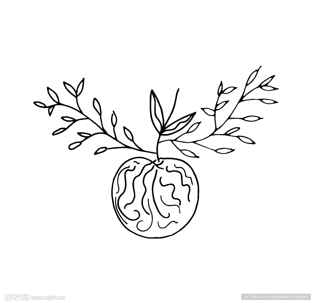 花纹