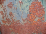 木纹