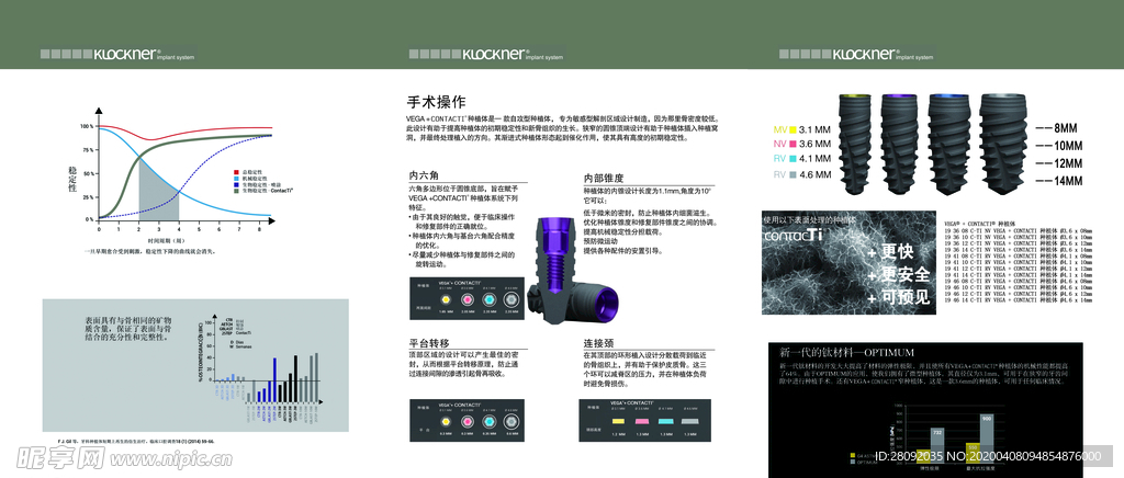 以法莲三折页