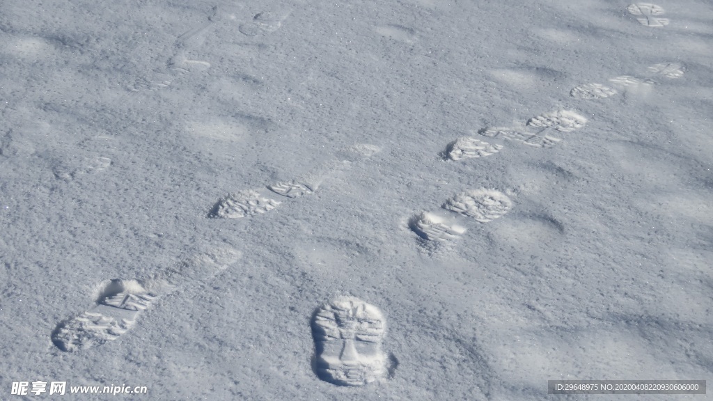 雪地