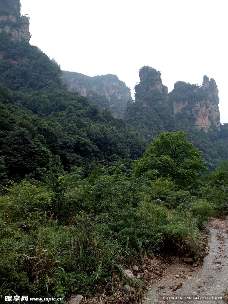 张家界十万大山