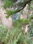 山崖