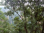 隔数观山