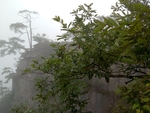 山崖