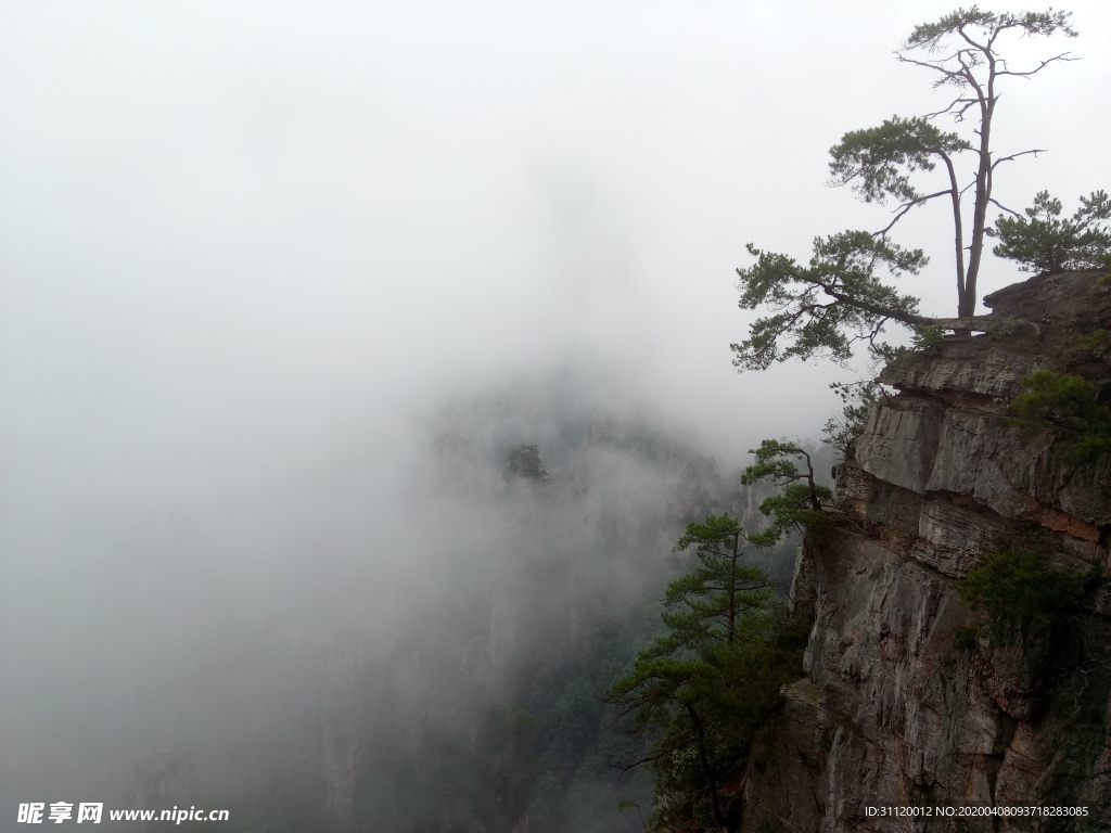 雾景山崖