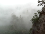 雾景