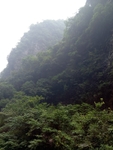 山景