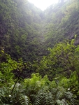 大山