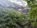 大山近景