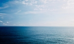 大海