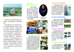 博苑幼儿园  三折页  幼儿园