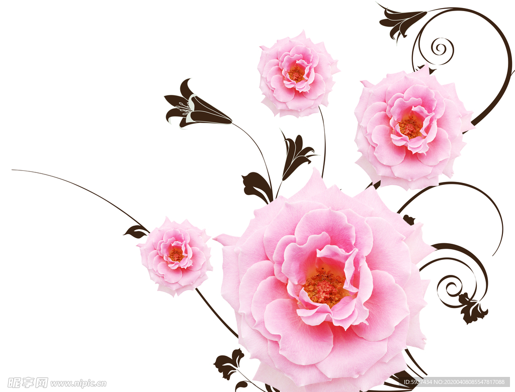 玫瑰花
