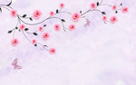 玫瑰花