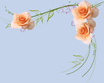 玫瑰花
