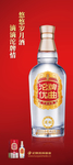 沱牌门形海报