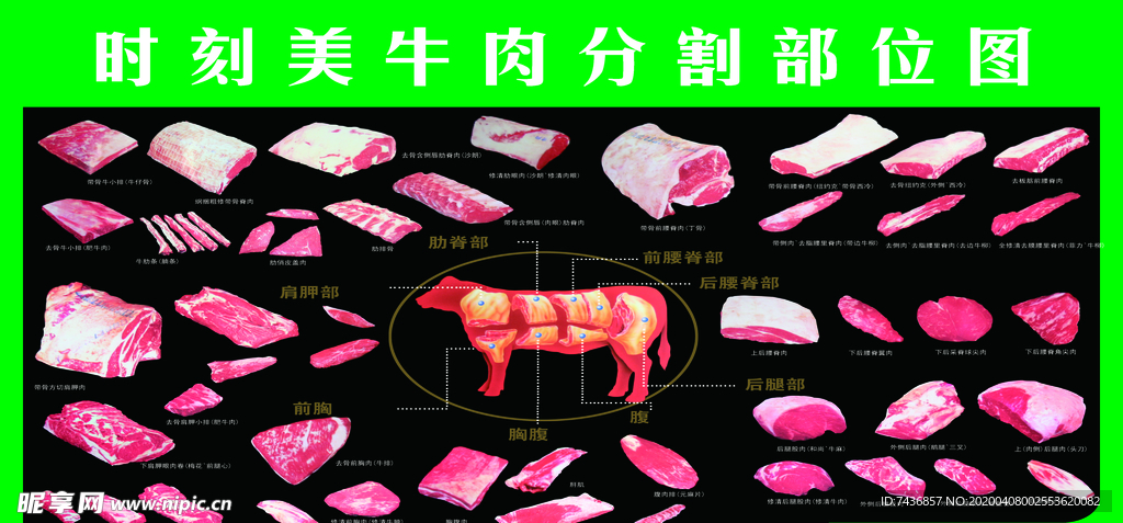 牛肉分割图