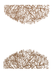 矢量树