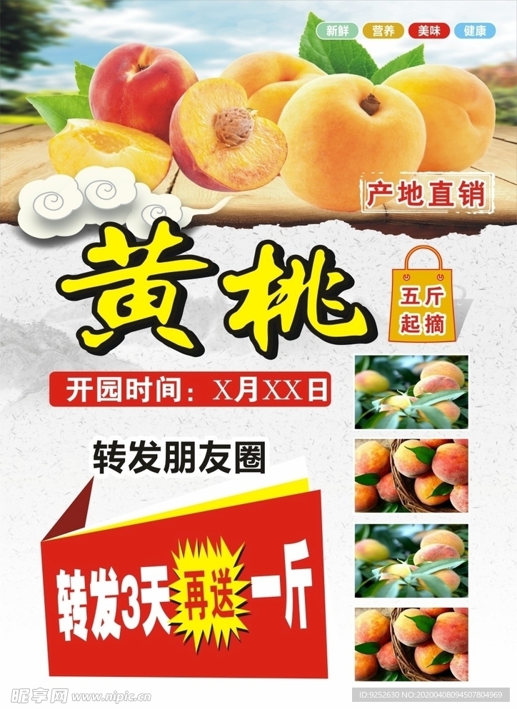 黄桃 宣传 海报