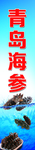 青岛海参