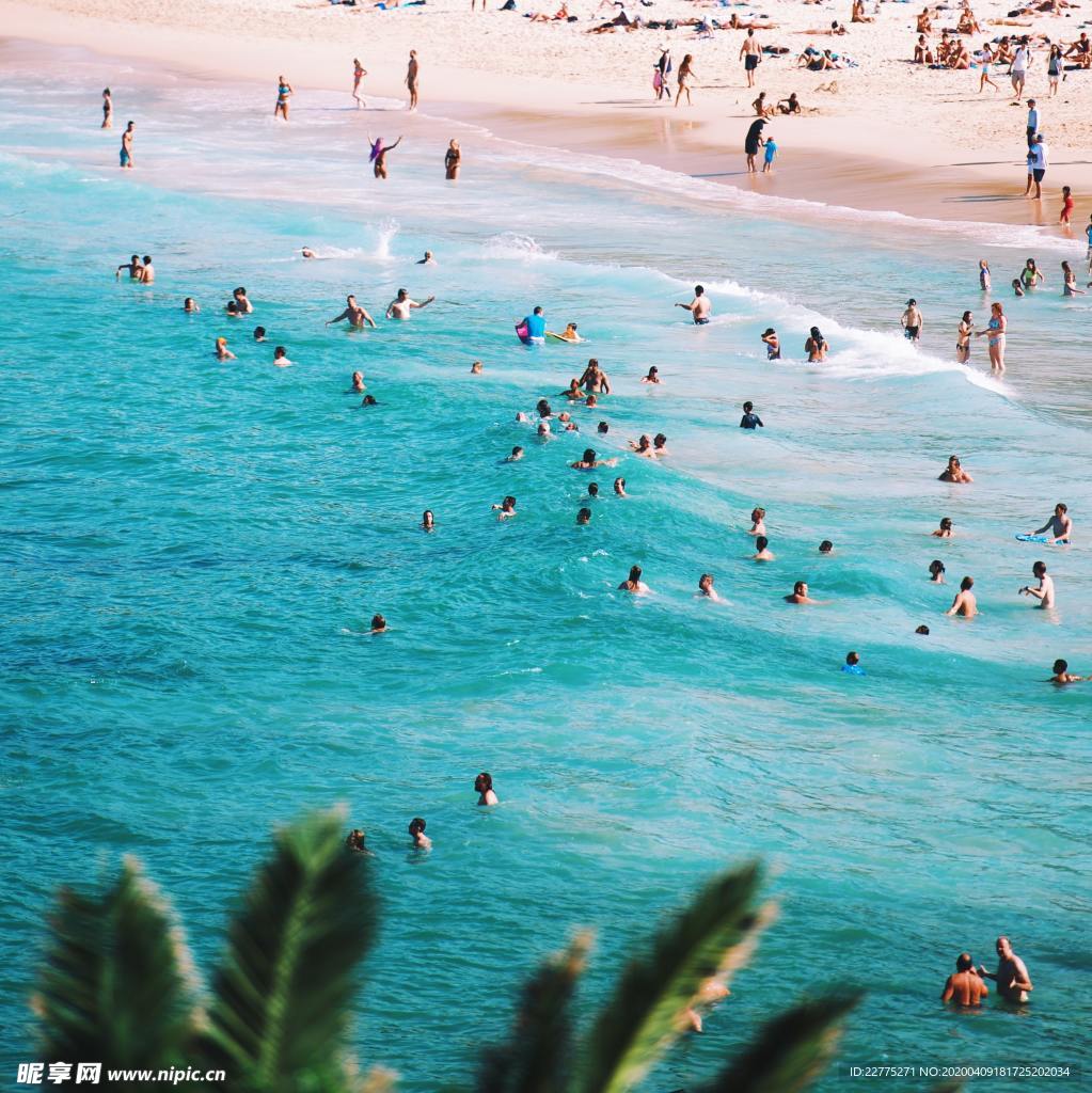 夏日沙滩海岸