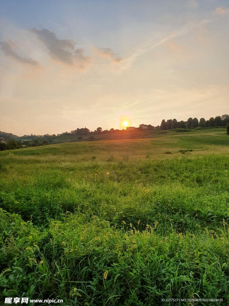 青青草地