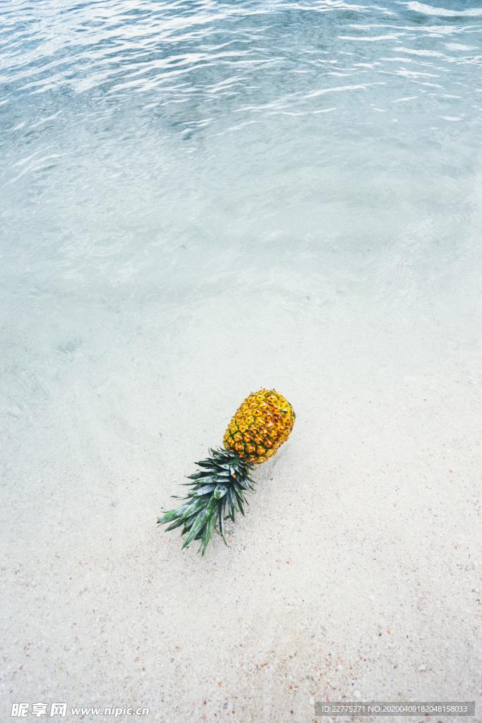 海水中的菠萝