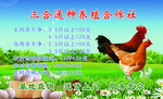 养殖名片