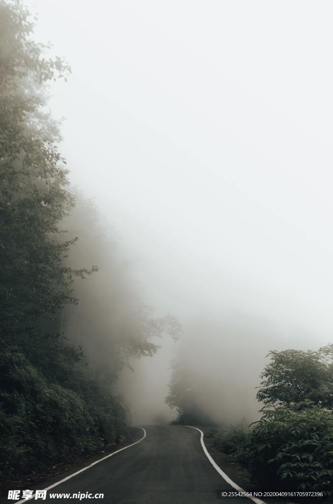 迷雾山路