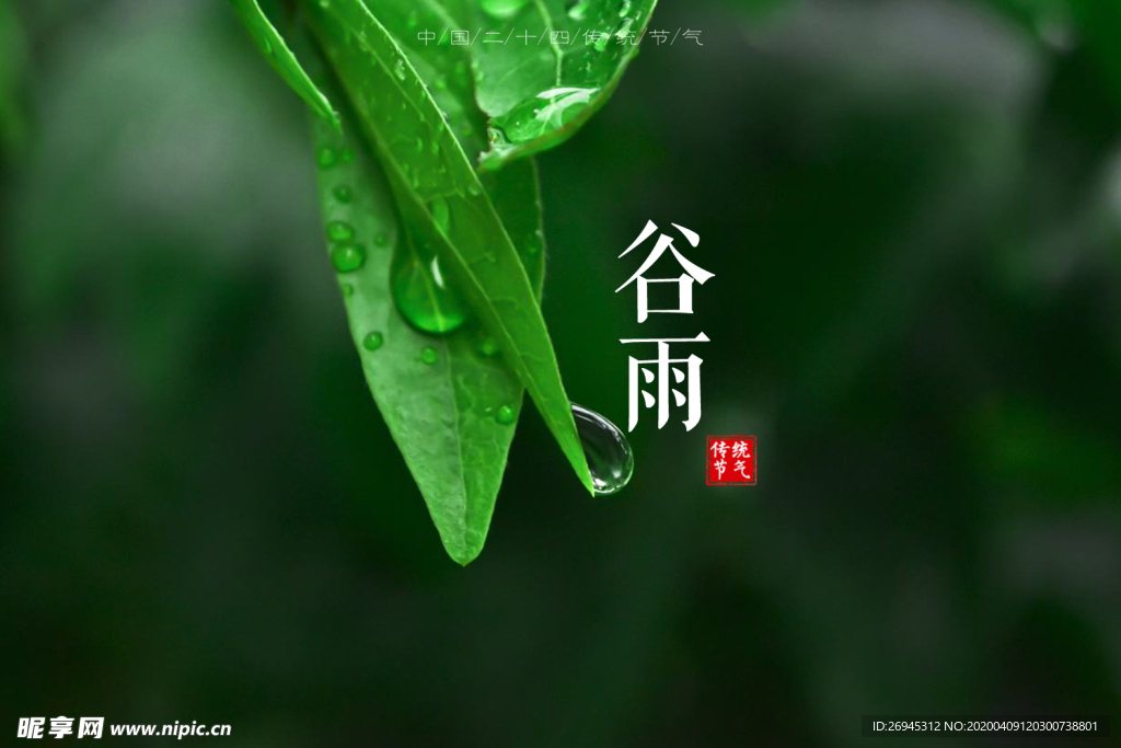 谷雨