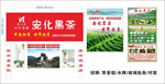 安华黑茶招牌背景墙